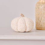 Load image into Gallery viewer, Boucle Pumpkin Small
