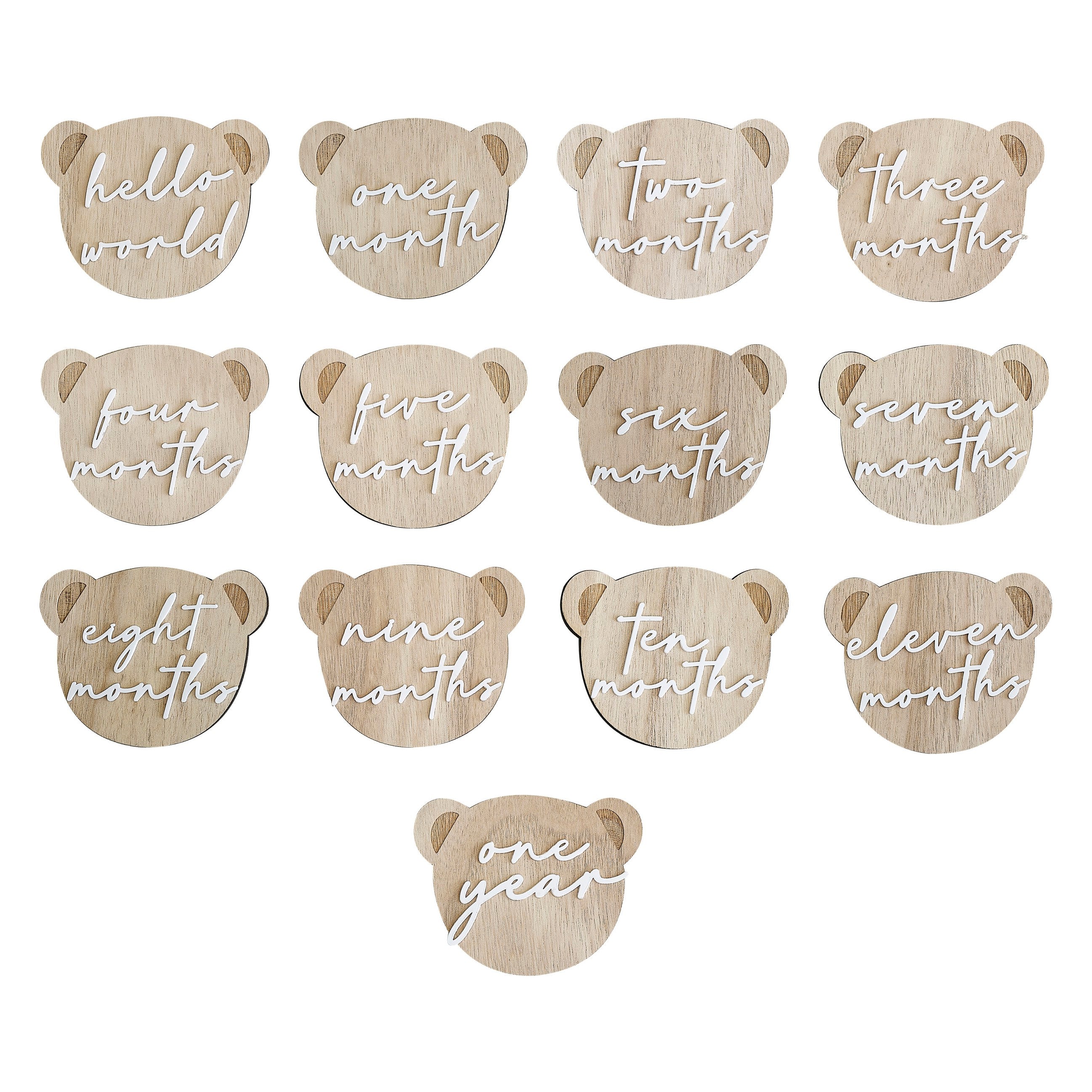 Baby bear milestone discs