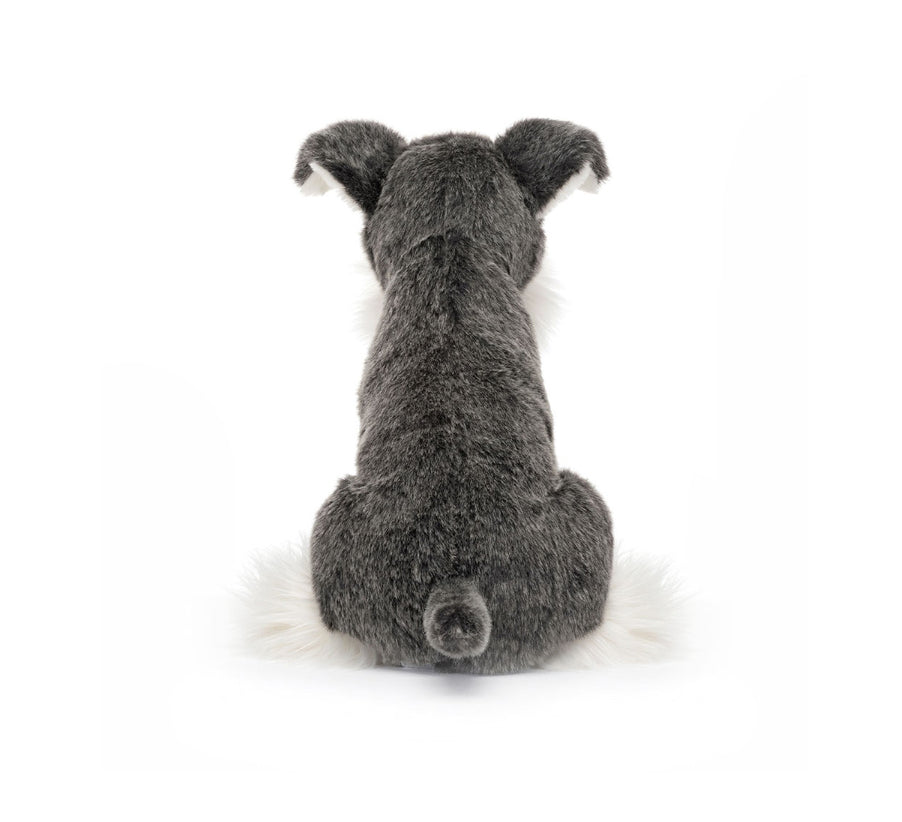 Lawrence Schnauzer