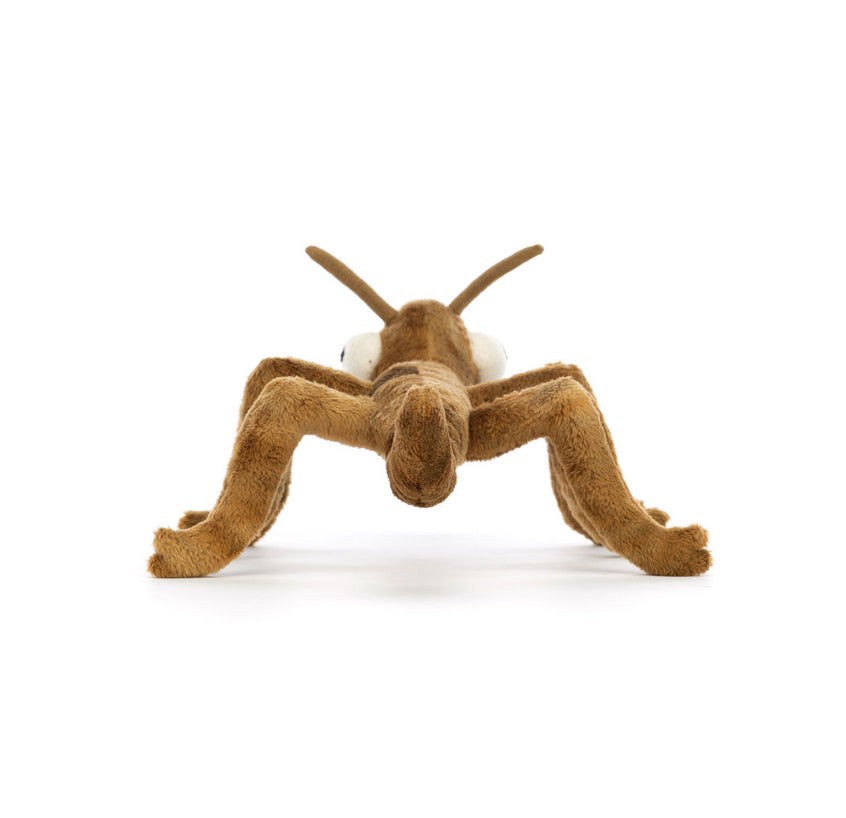 Stanley Stick Insect