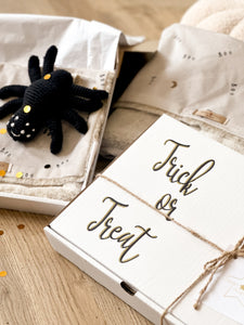 Trick or Treat BOO Box