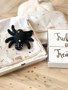 Trick or Treat BOO Box