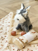 Load image into Gallery viewer, Rufus Blanket
