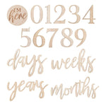 Load image into Gallery viewer, Wooden Pregnancy &amp; Baby milestone signs

